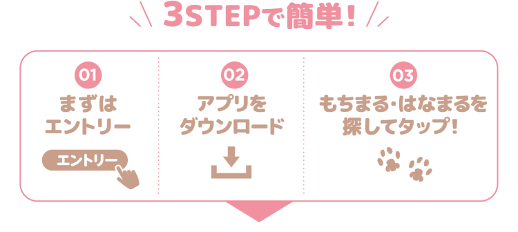 3STEPで簡単! 【01】まずはエントリー 【02】アプリをダウンロード 【03】もちまる・はなまるを探してタップ!