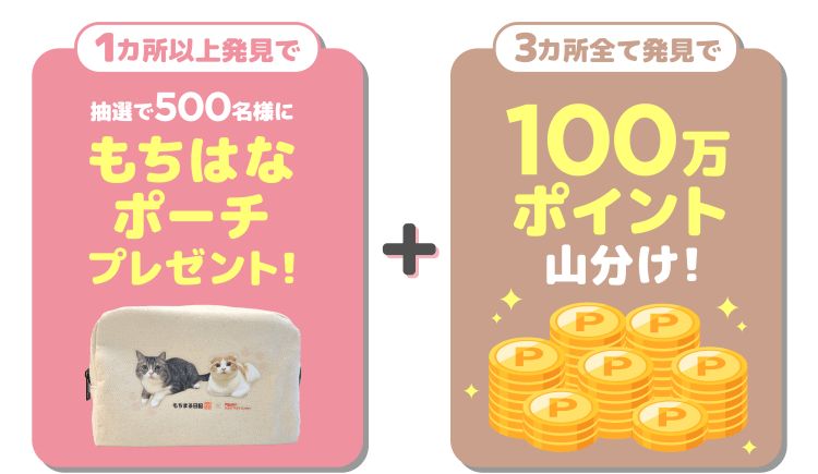 【1カ所以上発見で】抽選で500名様にもちはなポーチプレゼント! + 【3カ所全て発見で】100万ポイント山分け!